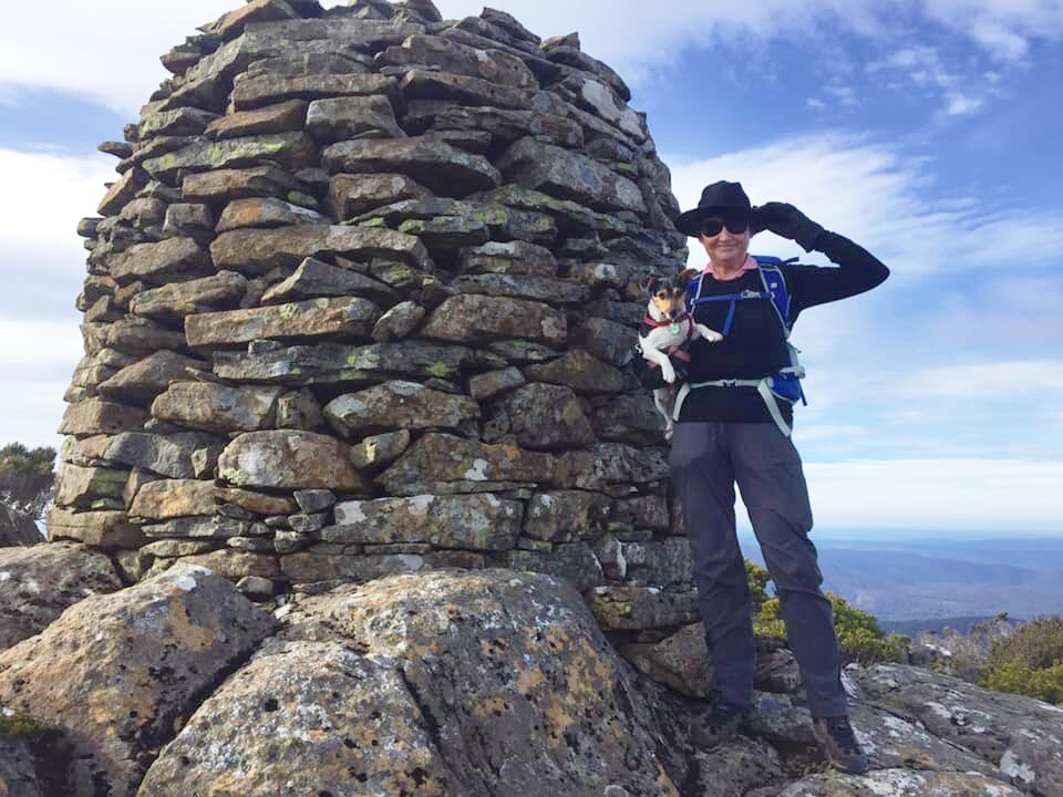 Meet Biscuit, the mountainclimbing miniature fox terrier from Tasmania