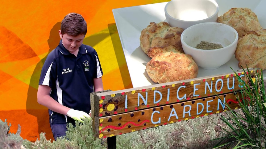 A collage of a boy in school uniform harvesting, a sign with 'Indigenous Garden' on it and a plate of food similar to scones.