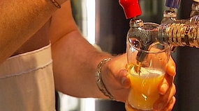 A publican pours a beer.