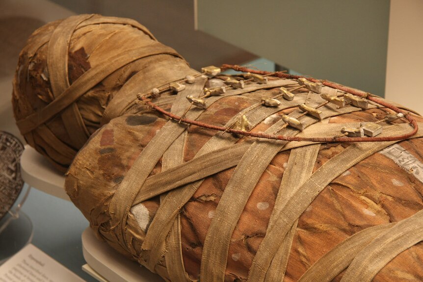 862px x 575px - Egyptologists use forensic science to help the mummy return - ABC Radio  National