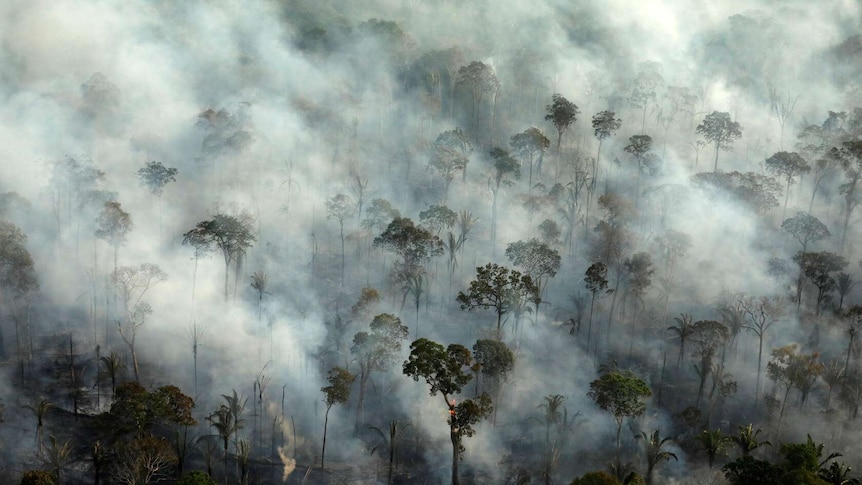 Smoke billows during a fire in an area of the Amazon rainforest.