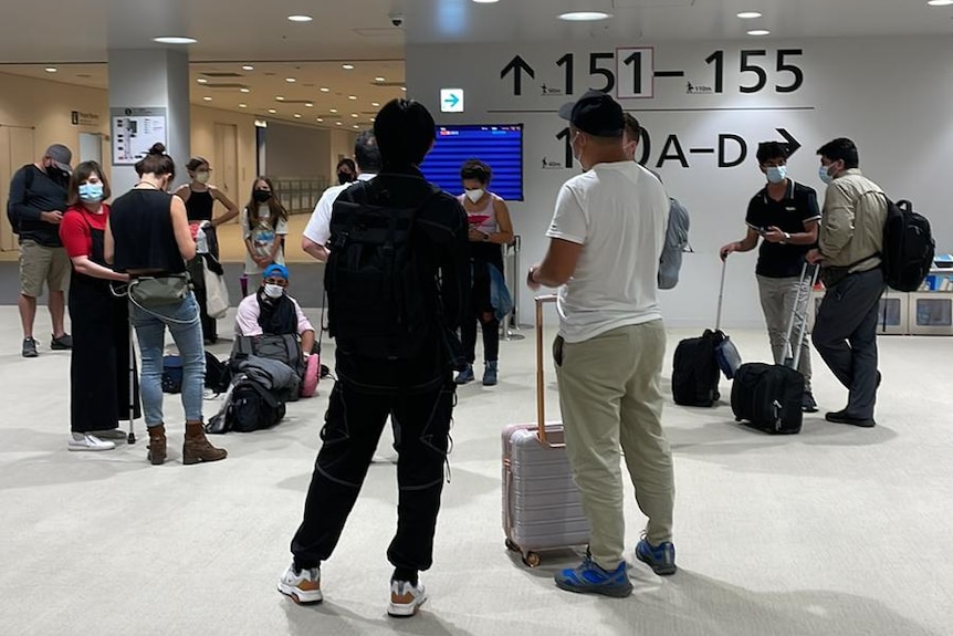 Travellers stand around an aiport terminal with tehir suitcases next to them. 
