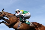 Ballabriggs wins the Grand National