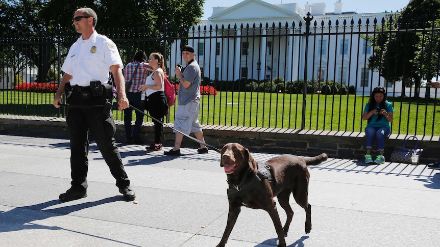 Secret Service officer and dog