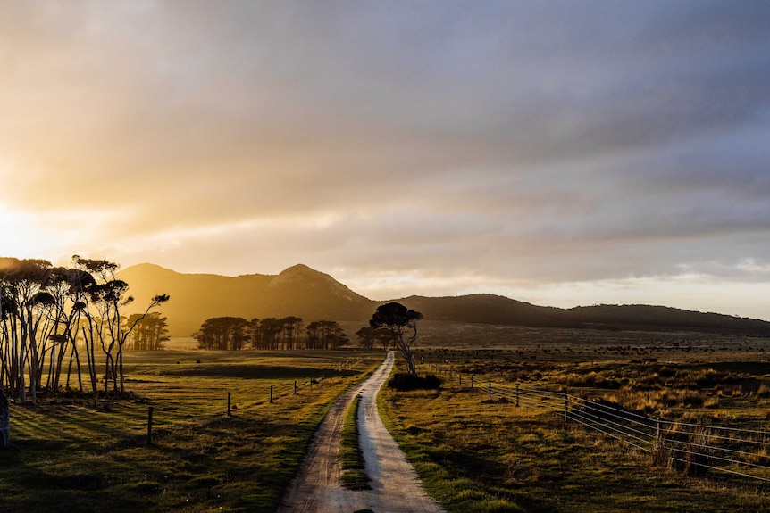 A dirt road on Flinders Island at sunset in an undated phot