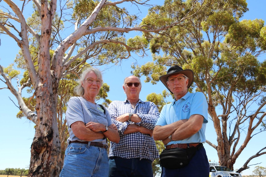 Three people pose for a photo below tall trees.