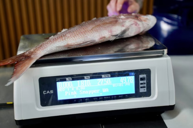 Um close de um peixe em escamas.