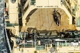 dead whale on deck of Ship