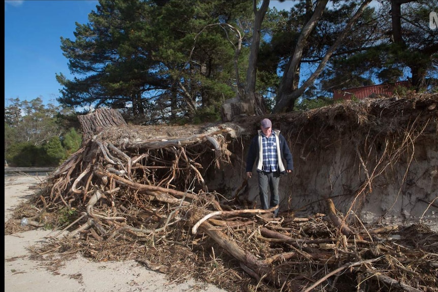 Sisters Beach erosion