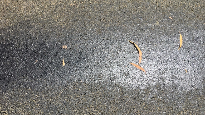 Part of a bitumen road appears shiny, as it starts to melt due to extreme heat.