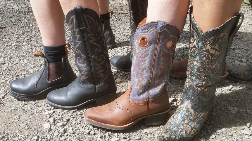 A close up of a range of boots worn by patrons at the Gympie Music Muster