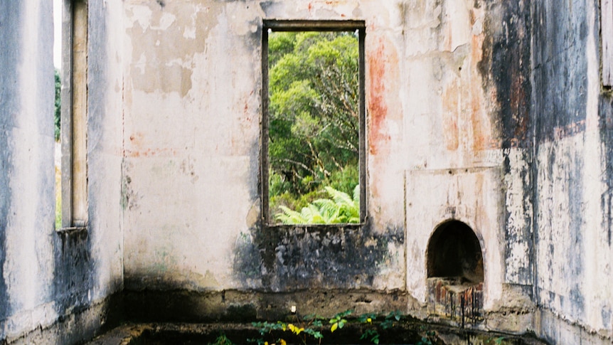 You view an abandoned interior of a federation-era pub, with its roof missing and weeds growing on its floor.