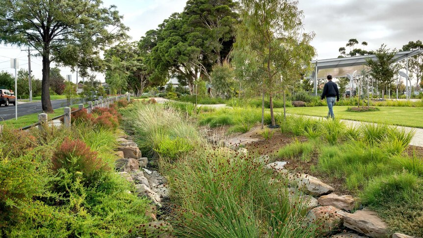 On a cloudy day, you view a verdant storm water catchment featuring small shrubs and rocks beside a rectangular green park.