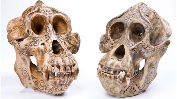 A pair of skulls