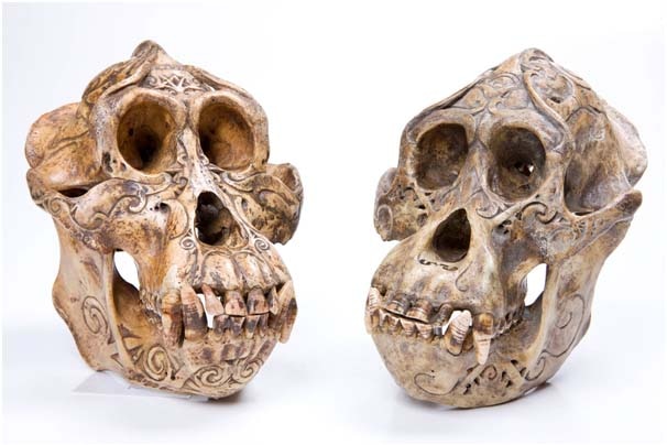 A pair of skulls