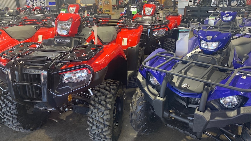 Photo of Honda red and Yamaha blue quad bikes