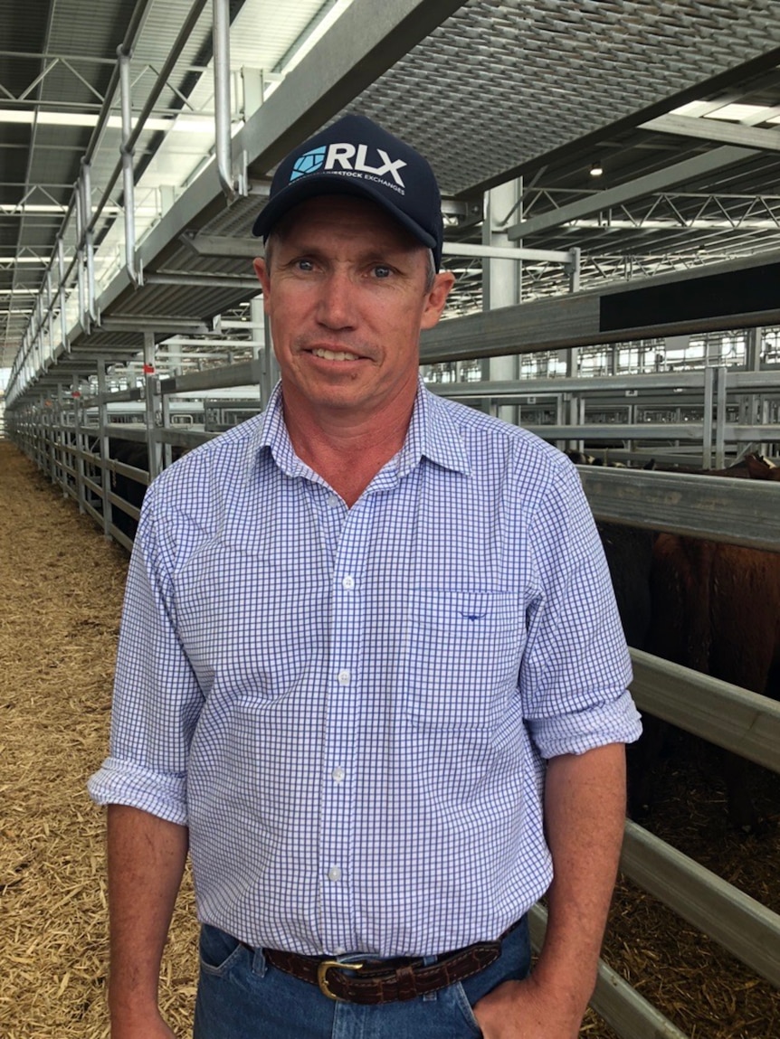 man stands in saleyards