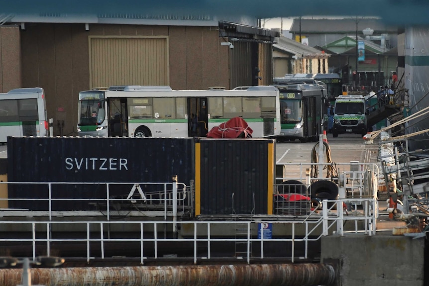 A fleet of Transperth buses at Fremantle Port