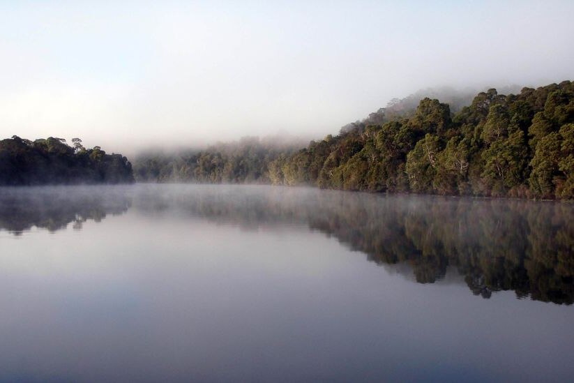 The Pieman River in the Tarkine rainforest Tasmania