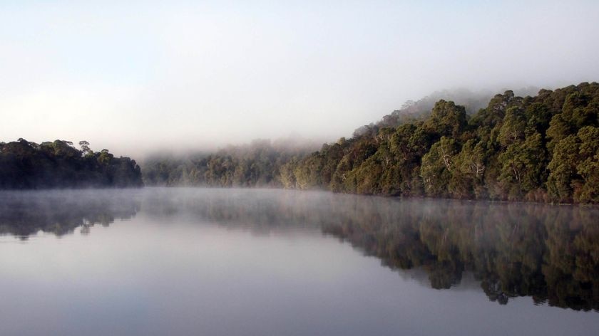 The Pieman River in the Tarkine rainforest Tasmania