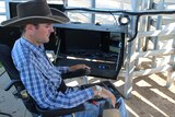 Rob Cook operates the cattle drafting gates using an electric over hydraulic joystick.
