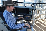 Rob Cook operates the cattle drafting gates using an electric over hydraulic joystick.