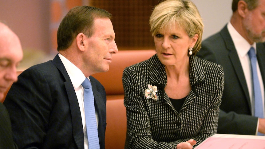 Tony Abbott and Julie Bishop  in federal Cabinet