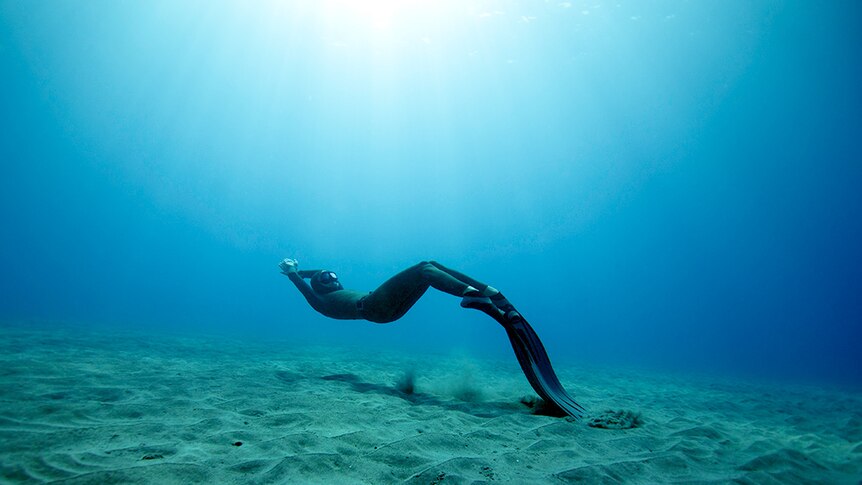 Christina Saenz de Santamaria dives in Hawaiian waters