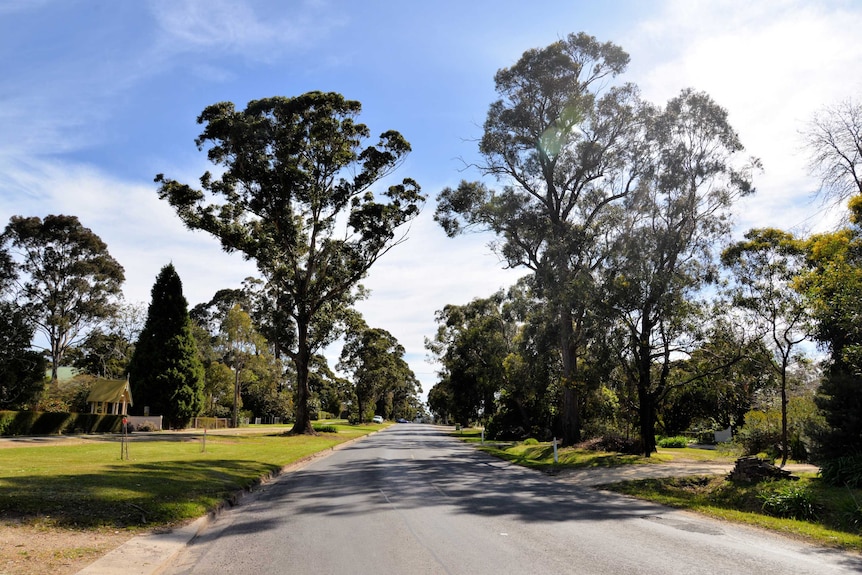 Road into Bunyip.