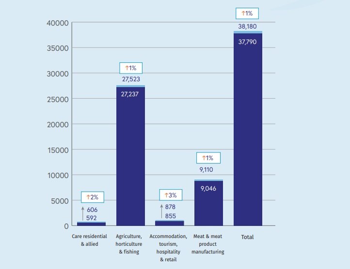 Graph showing which sectors PALM workers are working in.