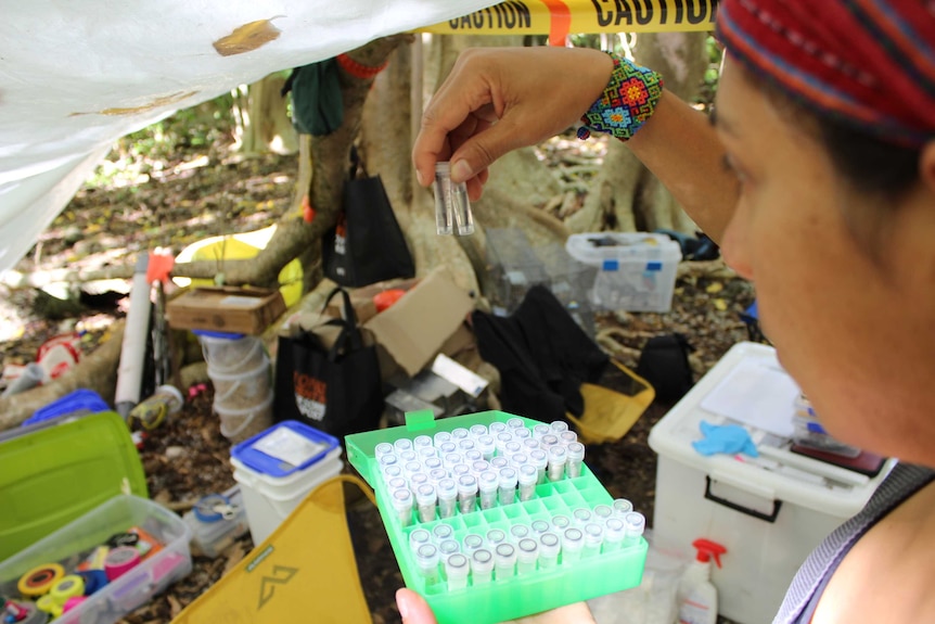 A scientist in a makeshift laboratory under a tarp holds two small sample bottles up to look at them.