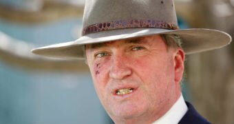 Barnaby Joyce looks out from underneath a beige akubra. Jis face is red, teeth crooked, and there is a gnarly scar under his eye