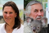 A composite image of a a woman and two men, one holding a koala