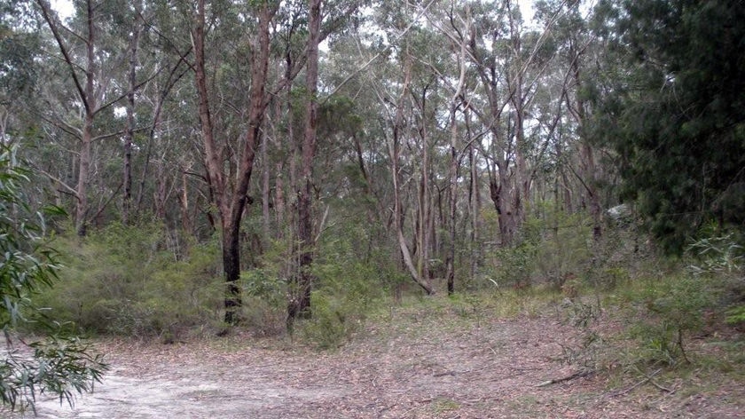 The site of the 1816 Appin massacre