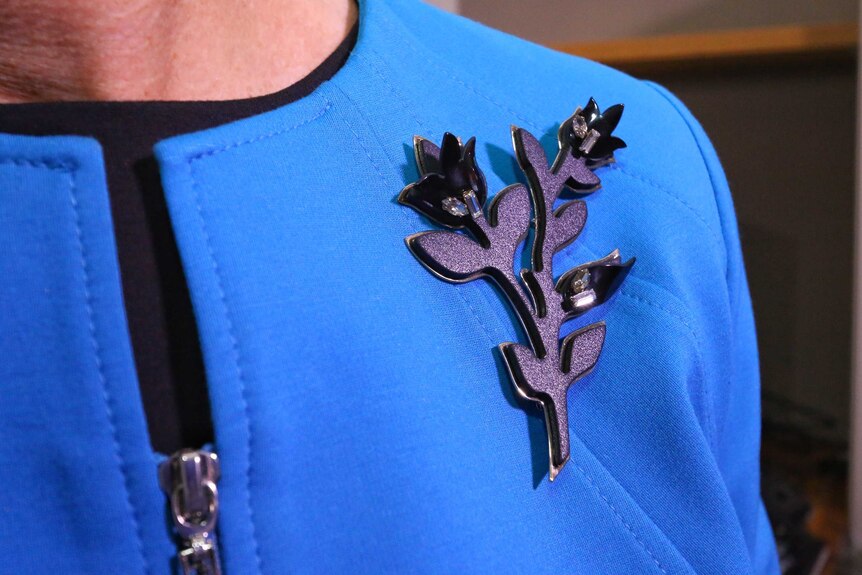 Pauline Hanson's brooch