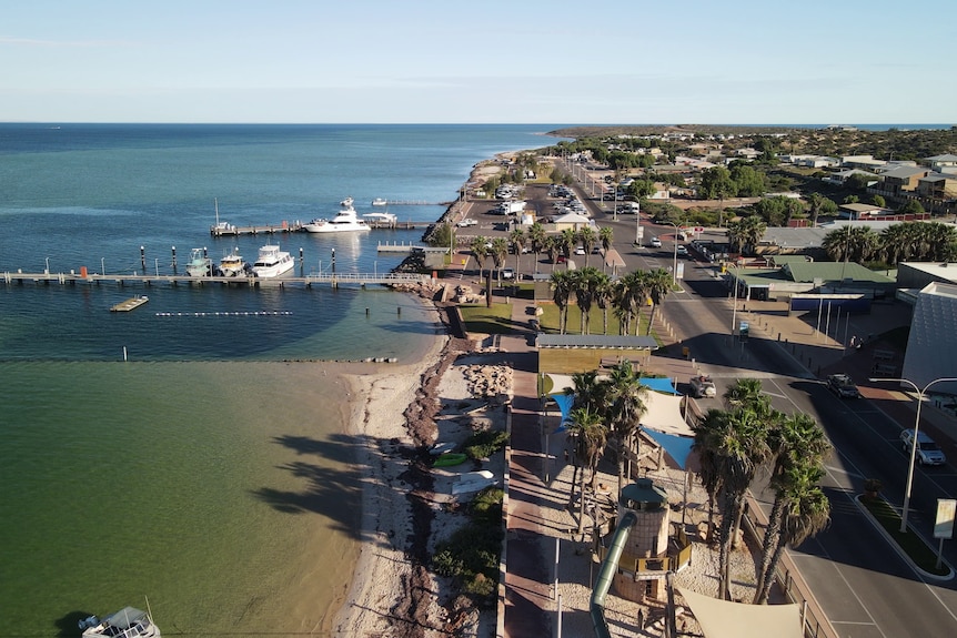 Drone shot of Denham. On the left is pristine coastal water and one the right the main street of town.