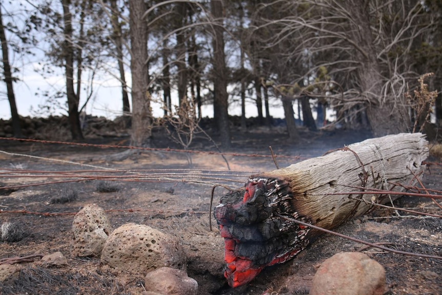 The still-smouldering end of a log glows reddish orange.