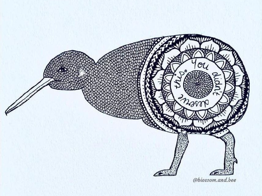 An illustration of a kiwi bird