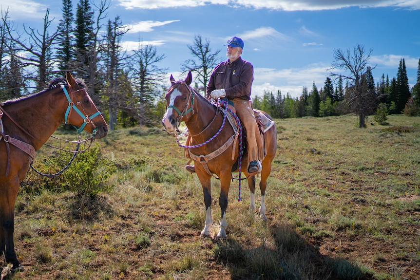 A man on a horse 