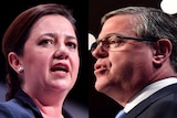 Queensland Premier Annastacia Palaszczuk and Opposition Leader Tim Nicholls speaking and looking serious in composite photo.