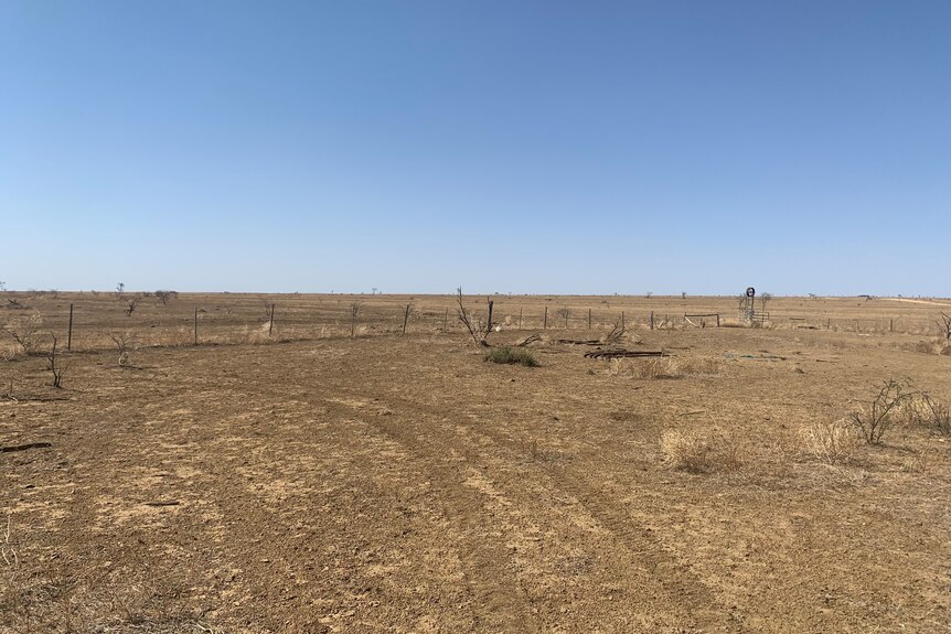drought struck paddock in outback queensland