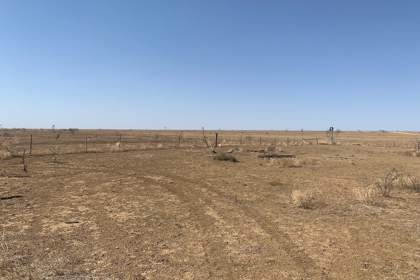 drought struck paddock in outback queensland