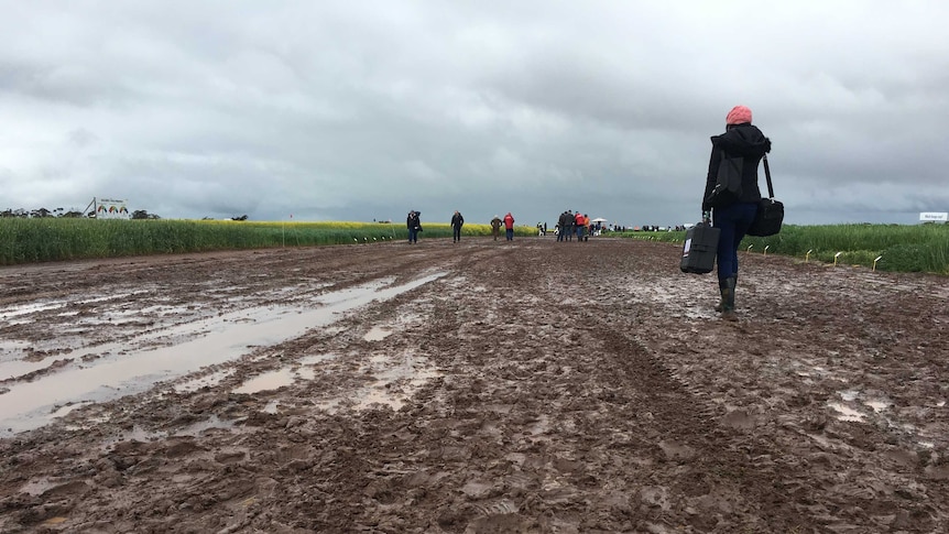 Rural Reporter Dani Grindlay trudges through the mud at the Birchip Cropping Group field day site.