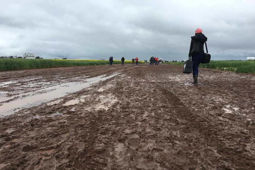 Rural Reporter Dani Grindlay trudges through the mud at the Birchip Cropping Group field day site.