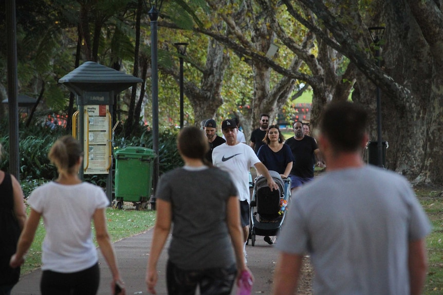 Groups of people walk through a shady path in a park