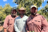 Image of three men standing in front of trees.