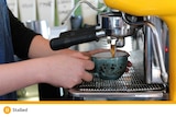 close up of a barista's hands making coffee into an aqua coloured mug