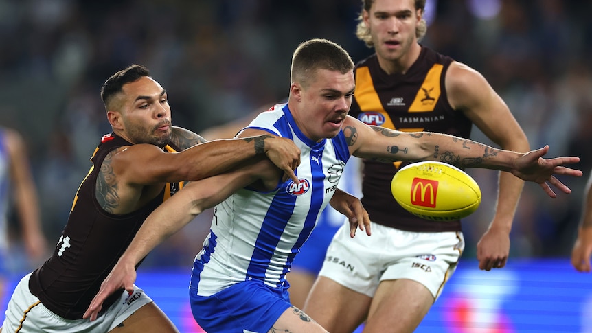 Cam Zurhaar in action against Hawthorn