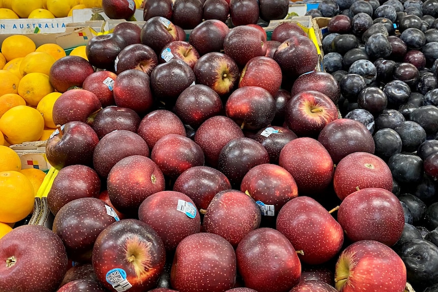 Dark purple apples on a shelf 