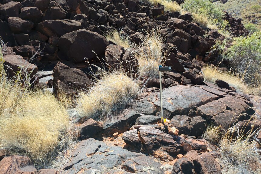 A camera device on a stick sits on a rocky outcrop with golden spinifex poking up.